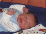 CIMG0603a.jpg