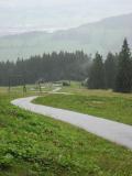 Gr&uuml;ntenh&uuml;tte 20%.jpg