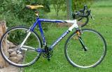 Crossrad-Page.jpg