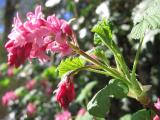 IMG_5254.jpg