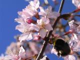 IMG_5272.jpg
