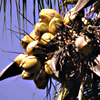 images/avatars/avatar-3922.gif