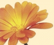 images/avatars/avatar-4021.jpg