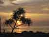 images/avatars/avatar-4065.jpg